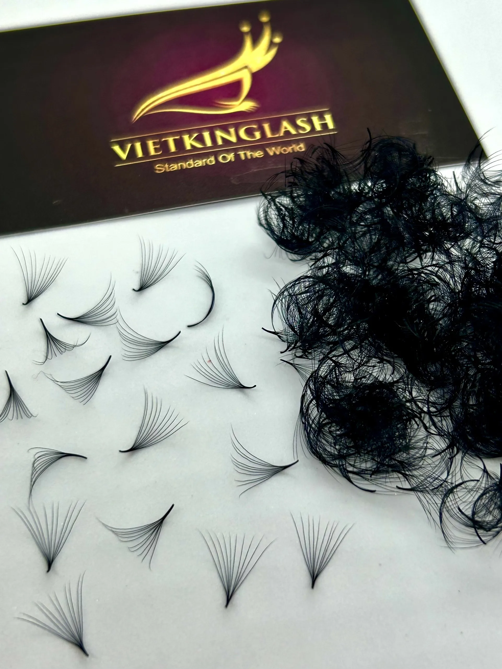 Wholesale Price Private Label Loose Fan Lashes 500/1000 Fans Long Volume Fans Eyelash Extensions Natural Black Super Smooth