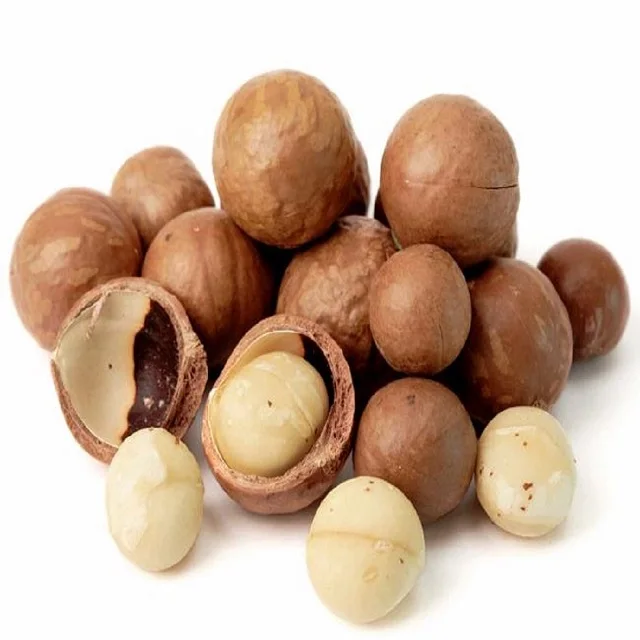 100% Natural Premium Quality Dried Roasted Macadamia nuts
