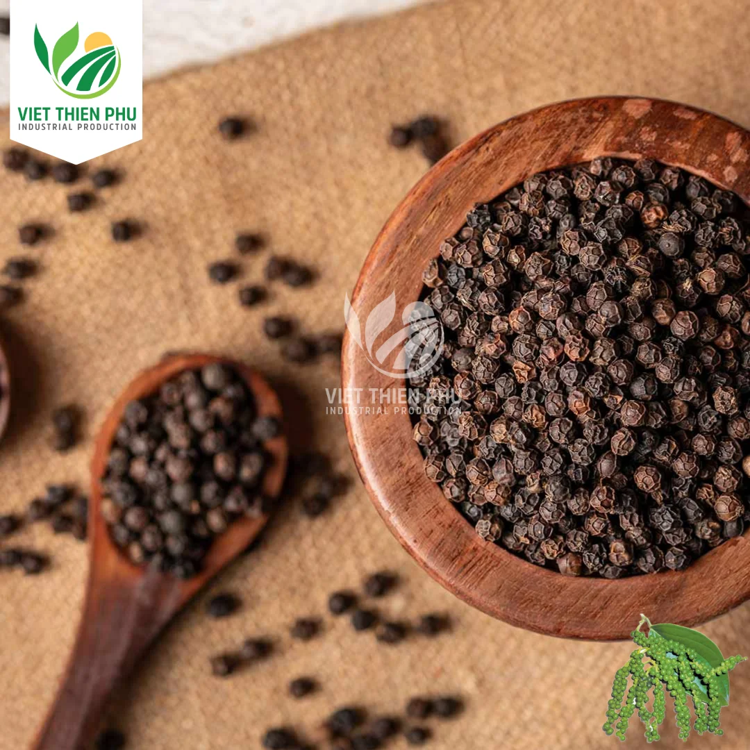 Black Pepper Spices Wholesale Top High Quality Manufacturer Cheap Price Black Pepper Vietnam