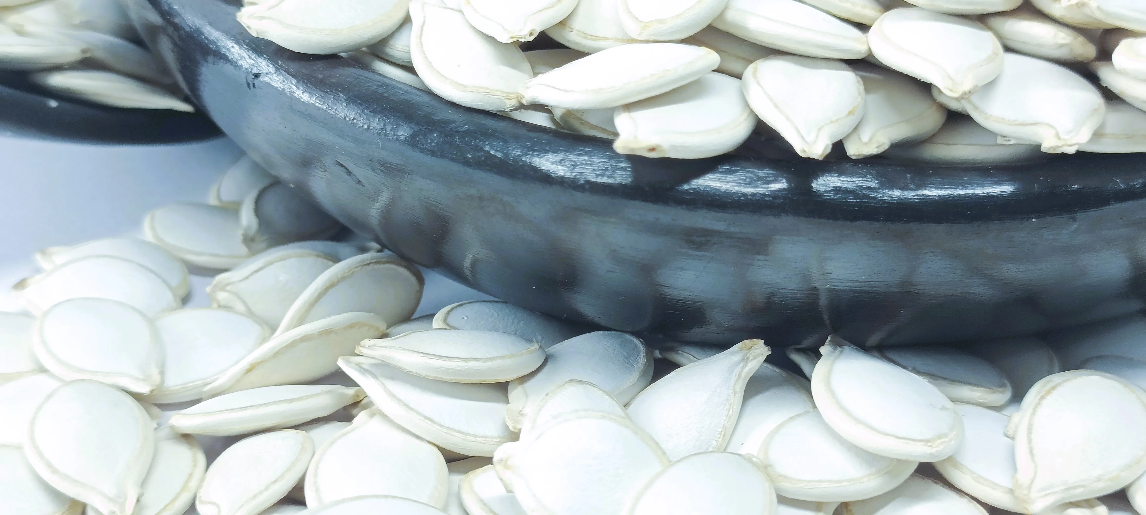 Top Grade Raw Dry White Pumpkin Seed Origin Ethiopian, High Protein, Cold-Pressed, Pure & Natural, Best Price 2024