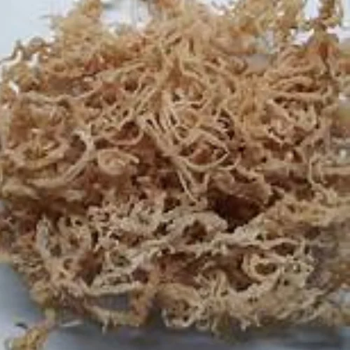 Natural Solution for Healthy Skin: Sea Moss