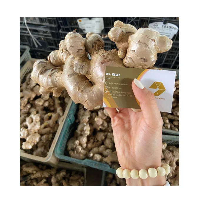 !00% Natural Fresh Ginger from Vietnam