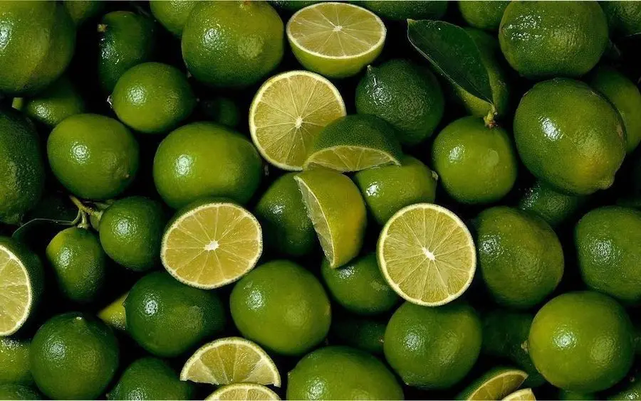 Wholesale Fresh Green Seedless Lemons 100% Natural Citrus Fruit from Vietnam Available in Hoang Kim Viet Nam