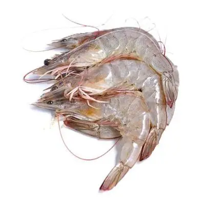 Frozen Black Tiger Shrimp Fresh Tiger Prawns Whole tiger shrimp small to large size high quality