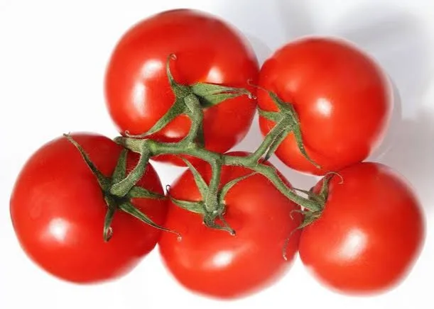 Wholesale Price Top selling Tin Tomato Paste 28-30% Brix fresh tomatoes purees tomato paste
