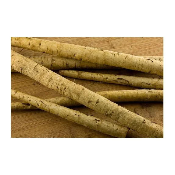 Top Quality Pure Fresh Vegetables Burdock For Sale At Cheapest Wholesale Price