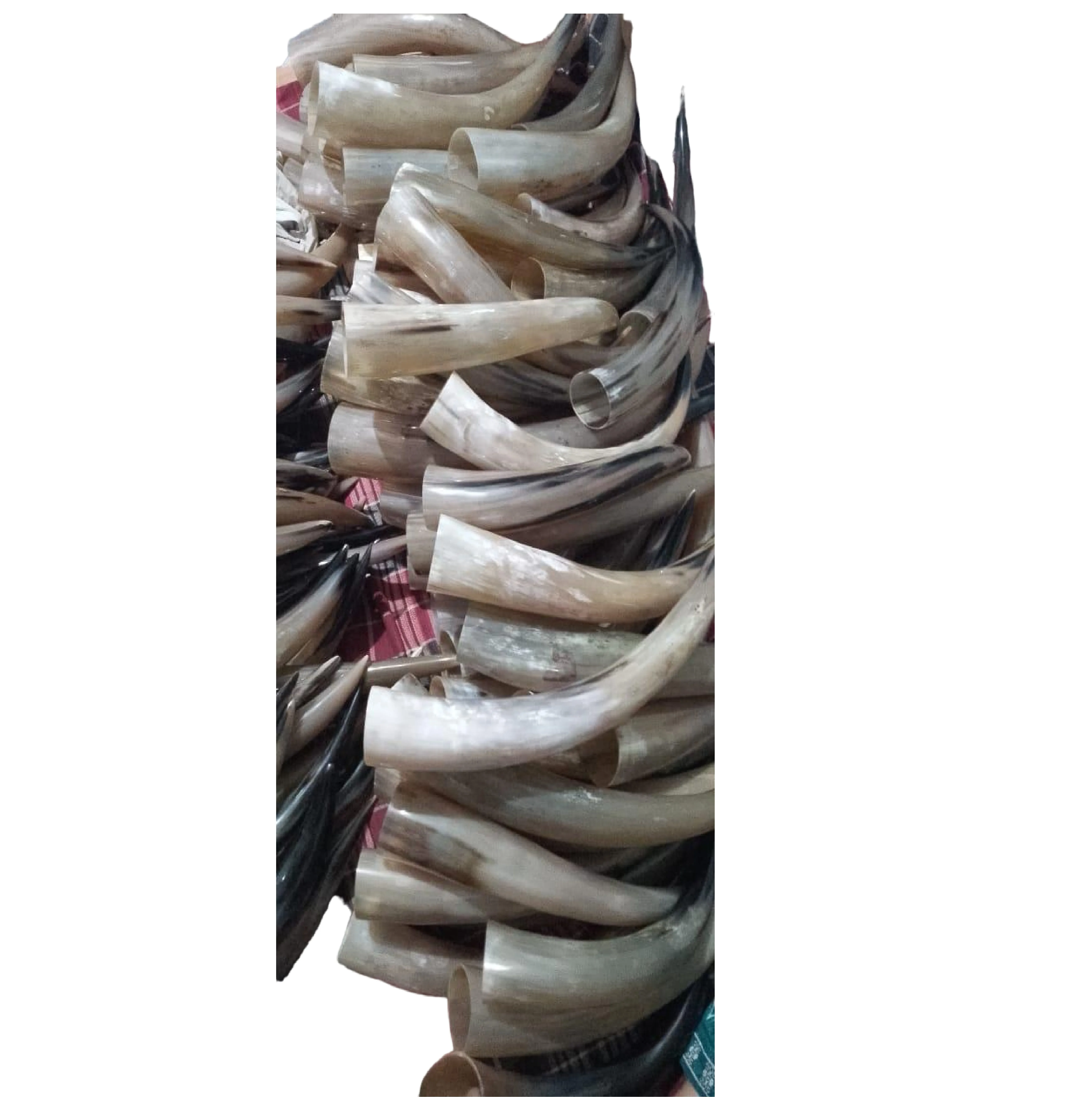 Top Quality Natural Quality Ready For Export Buffalo Horn With Engraving Design Horn Drinking Wine Glass Supplier From India