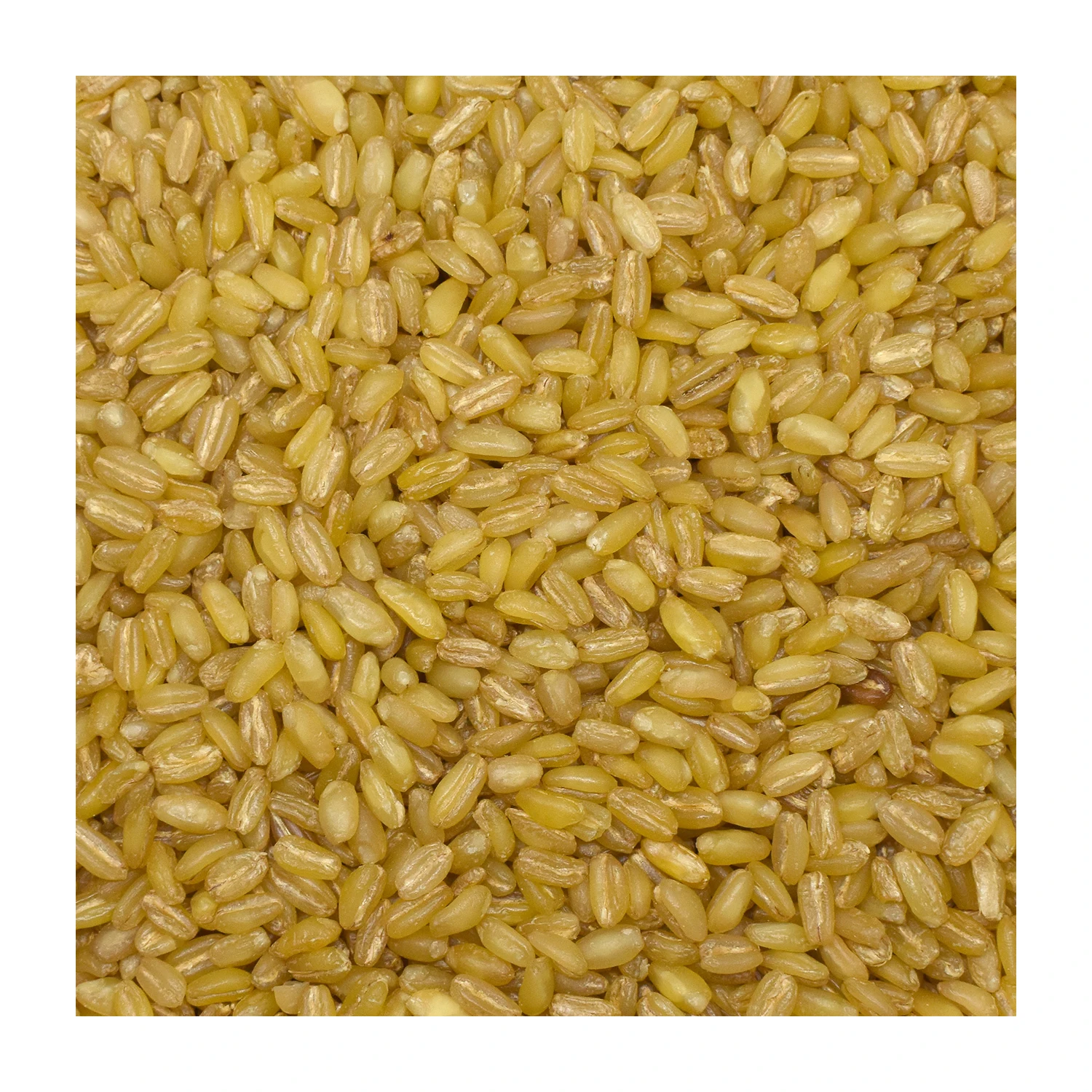 Wheat Bulgur Bulghur  Premium Top Quality 2022 Hot Selling Legumes Turkish 25kg Certificate Packing Natural Wholesale Rice