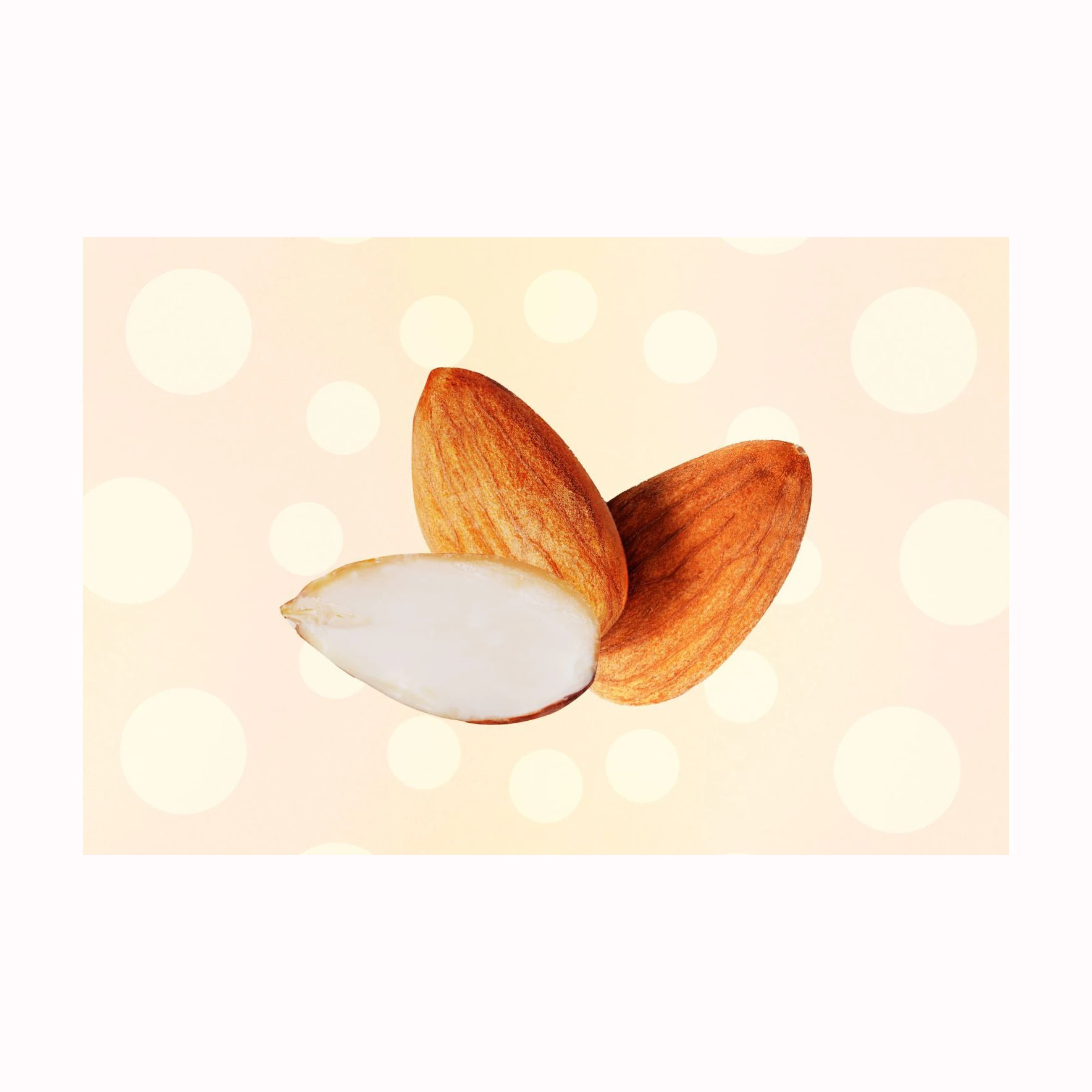 Rich Nutrition Organic Almonds Almond Nuts Price / Almond Kernel / Almond Wholesale Wholesale Almond Nuts For Sale