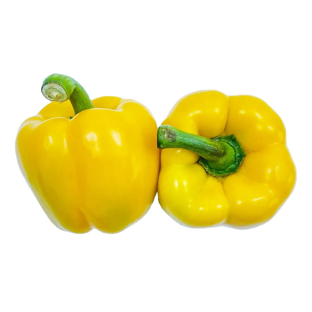 Quality Grade 100% Fresh & Natural Color Capsicum Fresh Exotic Vegetables Bell Peppers from Vietnam