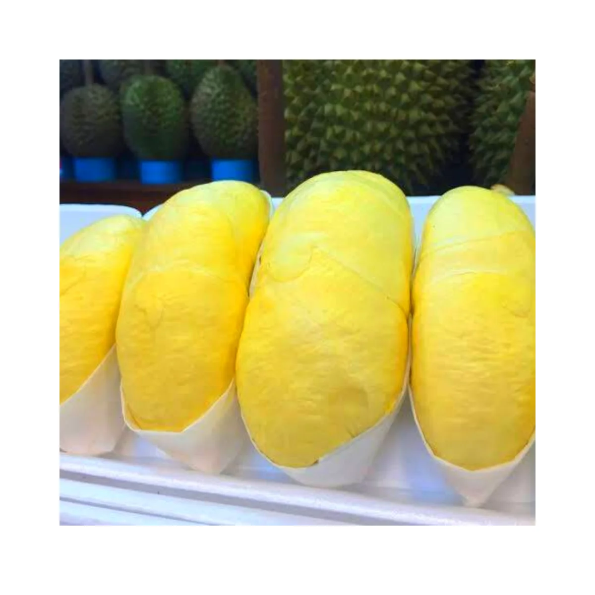THAILAND FRESH DURIAN BEST PRICE and HIGH QUALITY Yellow Tropical AAA SWEET Style Packing Organic GAP Color
