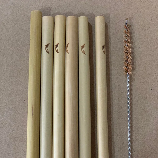 Natural Bamboo Straws Set Perfect Eco-friendly Solution to Plastic Straw Problem with Customized logo Cheapest Price in Eco2go