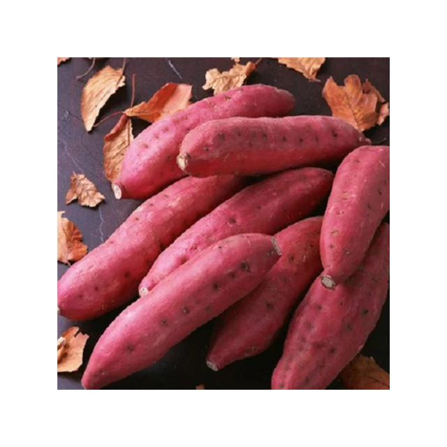 Сладкий картофель, новый сезон сбора урожая, свежий, размер под заказ, оранжевый, высшее качество, лучший продавец, оптовая продажа, вкусная конкурентоспособная цена