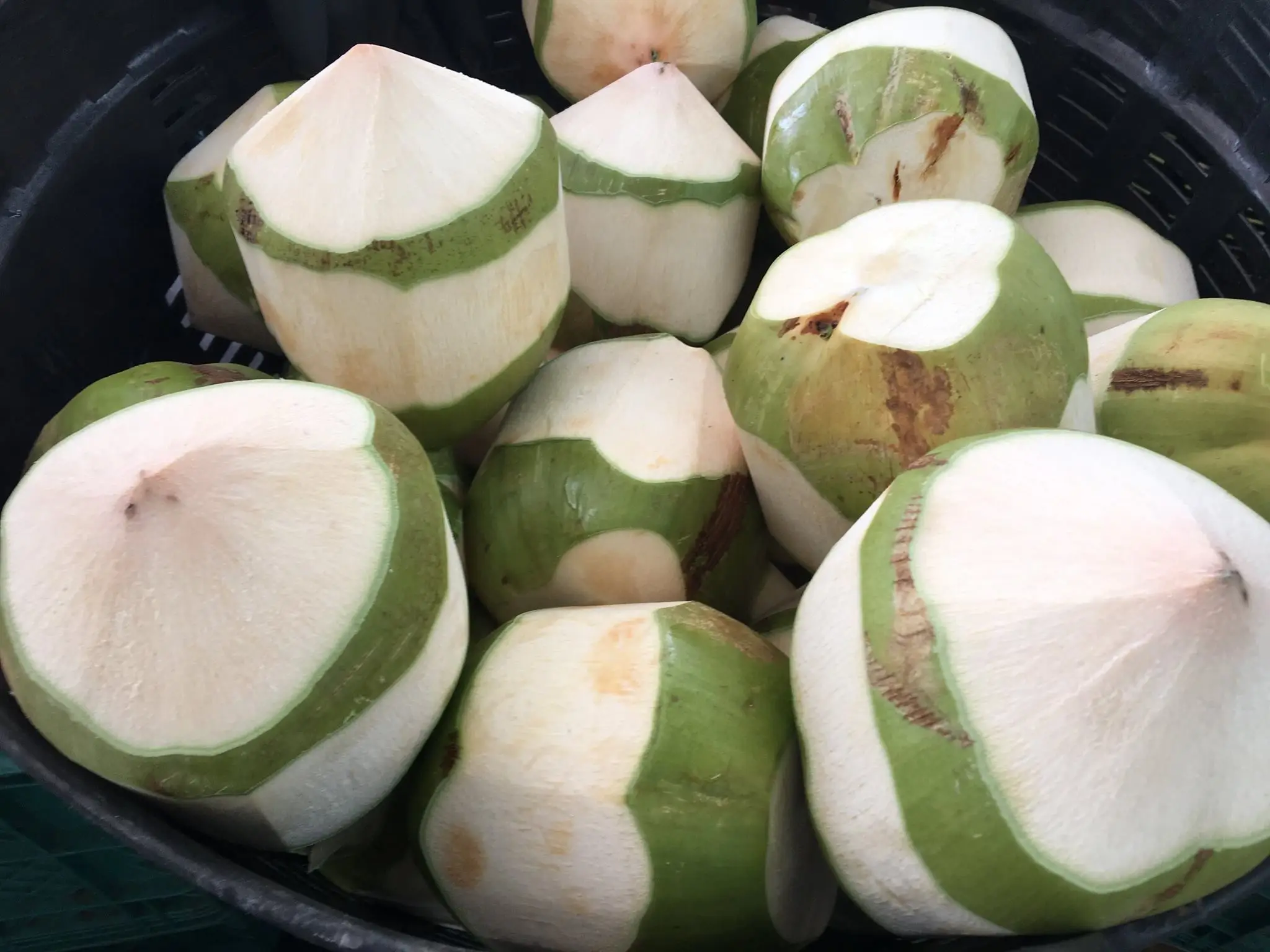 Поставщик тропических фруктов/кокосового молодого частичного зеленого очищенного кокоса/молодой очищенный кокос из Вьетнама (Whatsapp 84 366 808