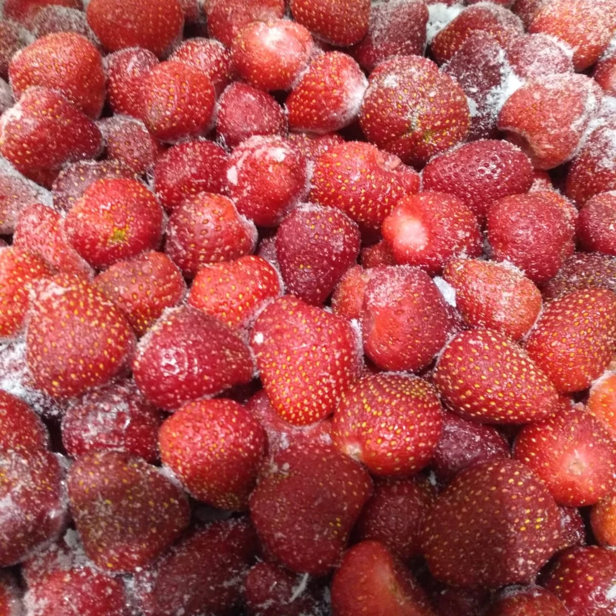 WHOLESALE FREEZE DRIED STRAWBERRY HIGH QUALITY FROM TURKEY IQF WHOLE FROZEN STRAWBERRY AGROWELL TURKISHGOODS