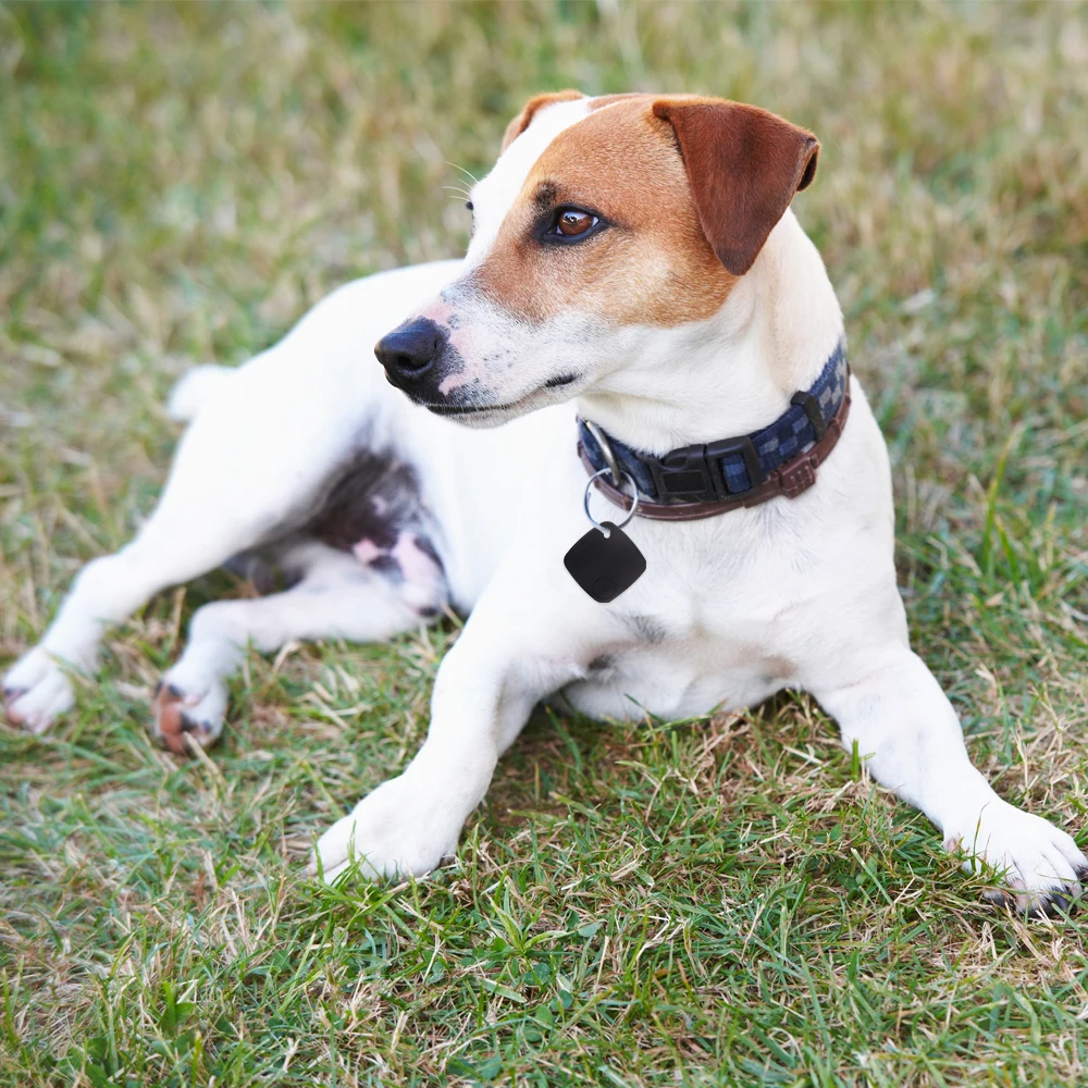 WOONAVIR Customized Wearable Buzzer Lost Alarm BT 5.0 Key Finder for Small Things Wallet Kid Pet Bag Phone