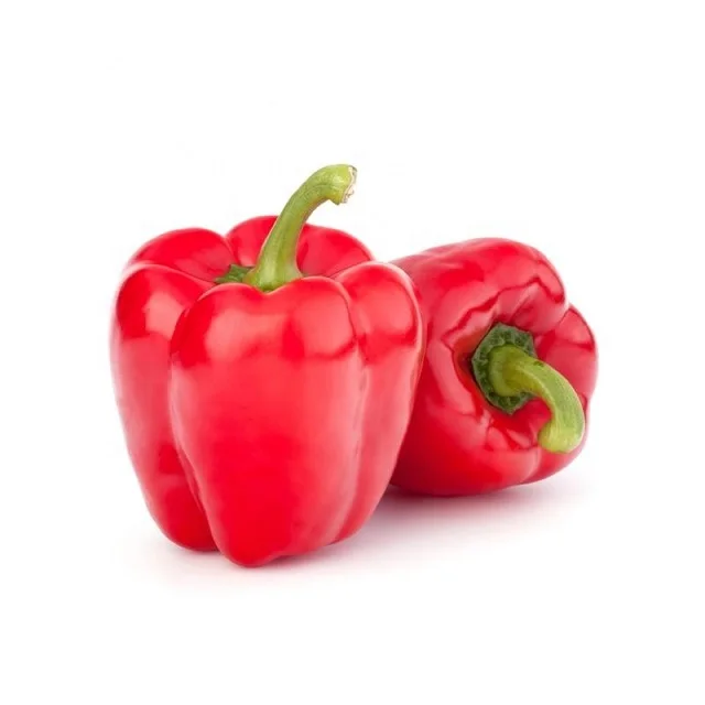 100% Fresh & Natural Color Capsicum Fresh Exotic Vegetables Bell Peppers