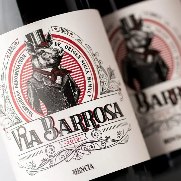 Red wine from Spain | Via Barrosa Mencia 2021 DO Valdeorras | Packaging 750ml glass bottle | Vina Costeira