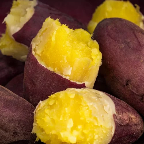 Лучшие продажи овощей сладкий картофель для по хорошей цене