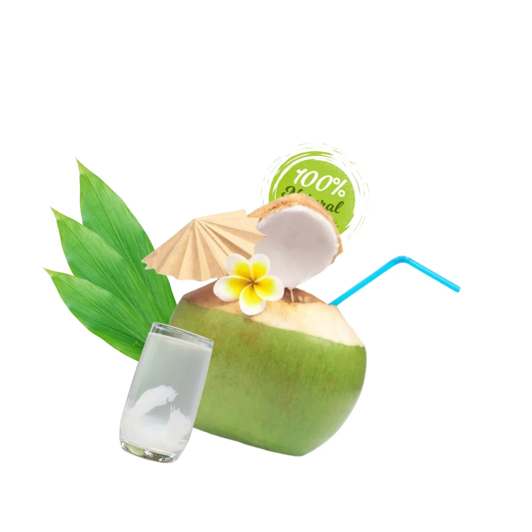 Vietnamese Fresh Coconut - Inspired by Nature Purity