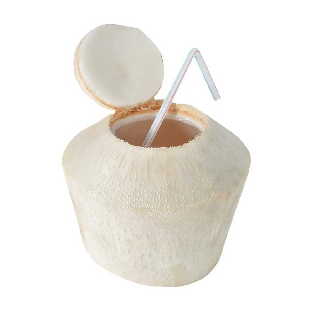 Premium Sell Sweet Young Fresh Coconut Diamond Shape Vietnam Manufacturer Fresh Coconut Export