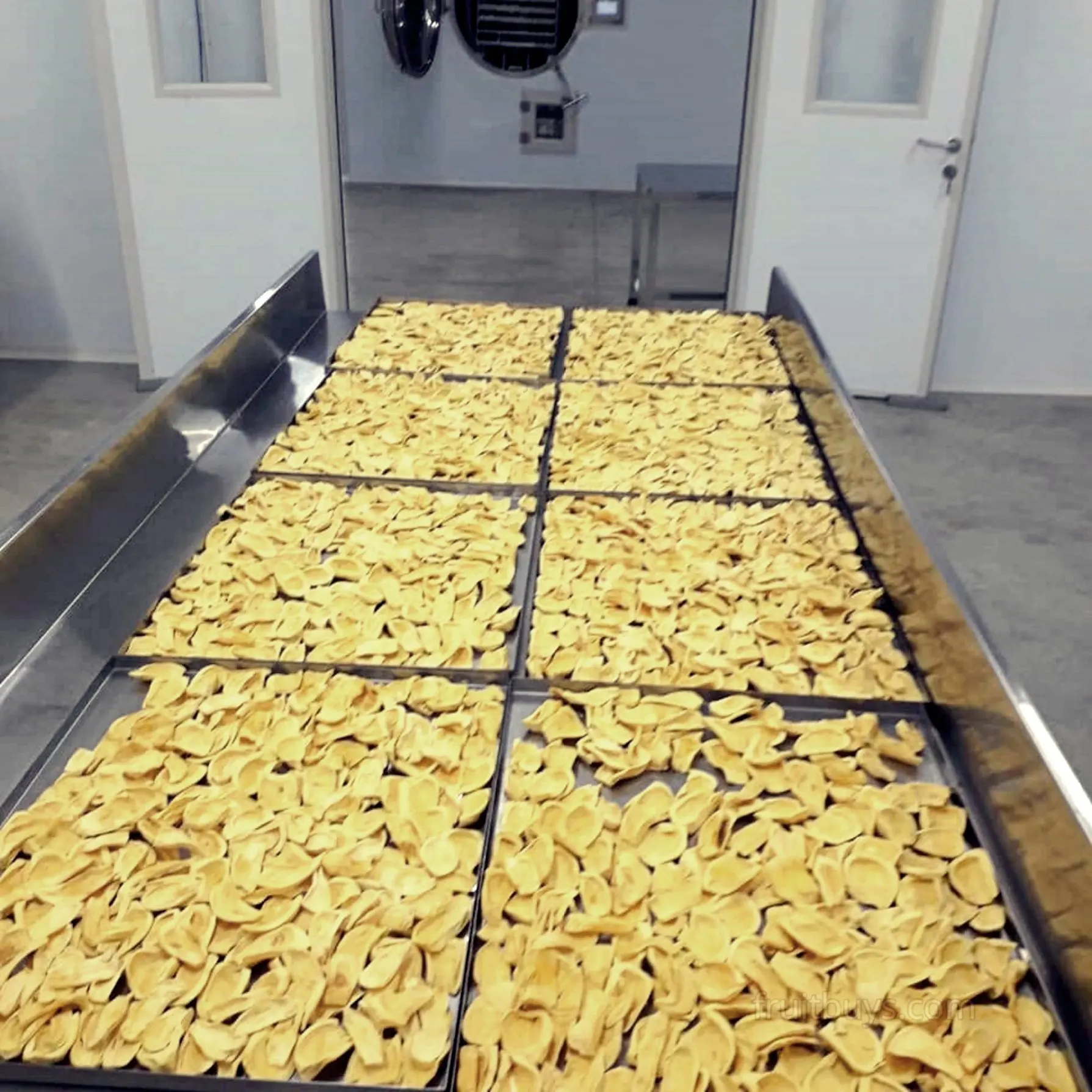 Organically Grown and Freeze Dried - Delicious Freeze-Dried Jackfruit Vietnam Snacks from FruitBuys Vietnam