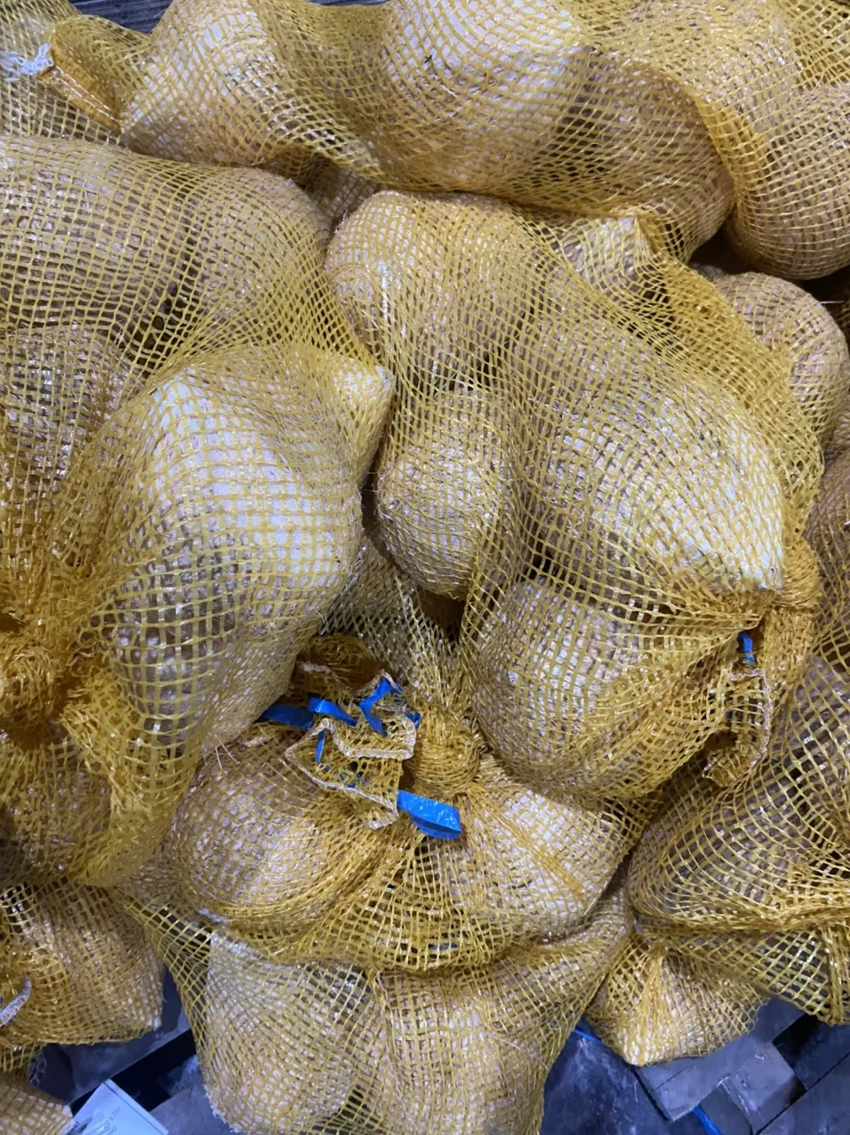 High Quality 100% Natural Mature/Semi Husked Coconut Sweet Tasted Dried Fruit Oil Cream Dish Production Whole Pattern Bulk ANNA