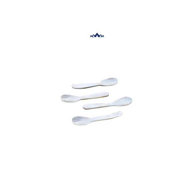Conch Seashell Spoon Caviar for Export