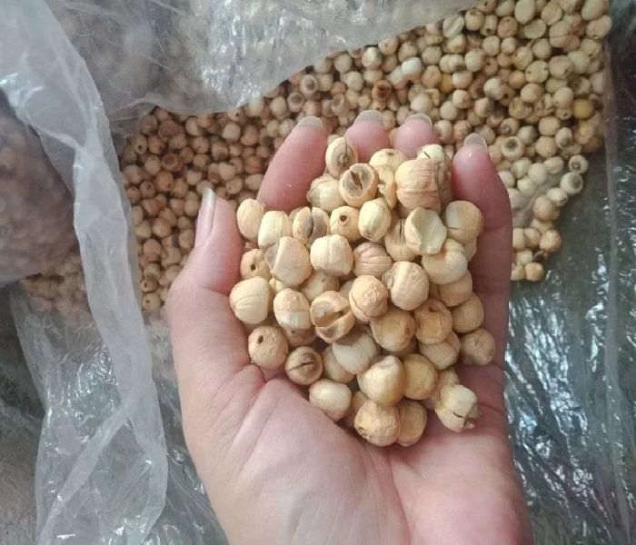Premium Dried Lotus Seeds Perfect for Making Nutritious Soups and Desserts Ideal for Exporting