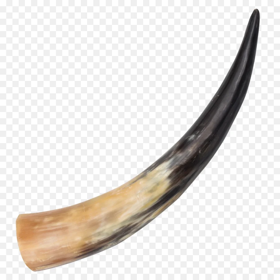 Authentic Viking Drinking Horn For Beer High Quality Ox/Cow Polished Horn For Drinking Natural Horn Crafted Viking Drinking