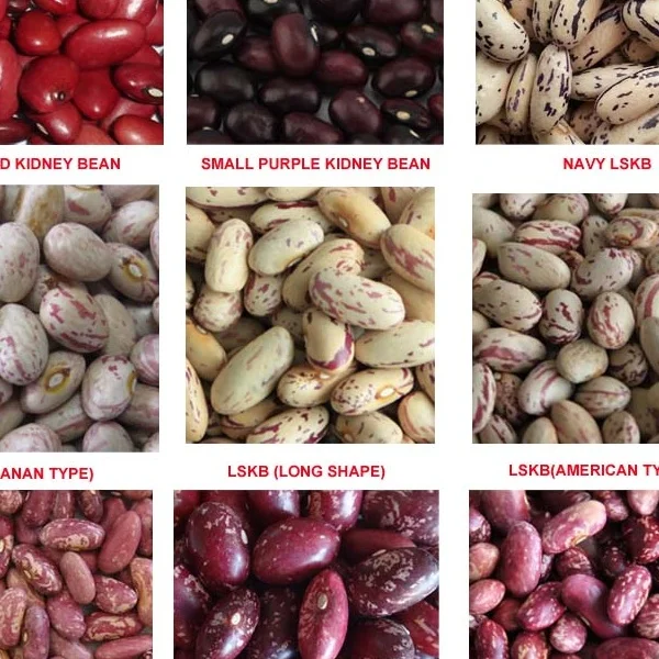 Red Kidney Beans, Round Red Kidney Beans, Best Red Speckled Beans Wholesale Dried Dark Red Kidney Bean For Sale