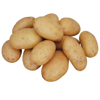 2022 New Harvest Fresh Potato