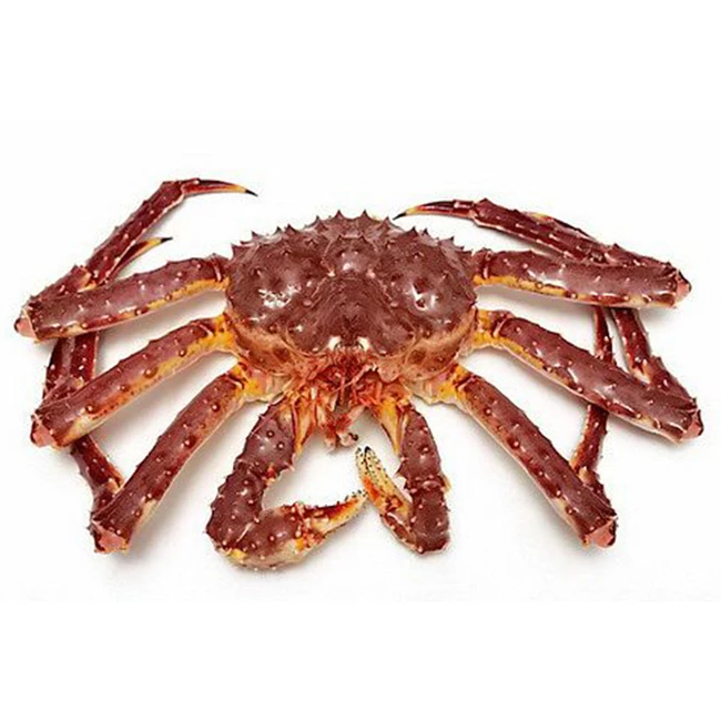 Hot Sale Live Mud Crabs, Blue Crabs, King Crabs /Live Seafood/ Frozen King Crab