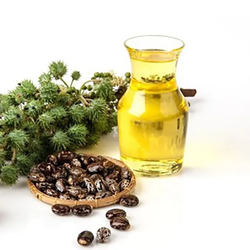 Organic Cold Pressed Eyebrow Castor Oil With Pure and refined for sale Manufacturer Pure Organic For Hair Growth Bulk Wholesale