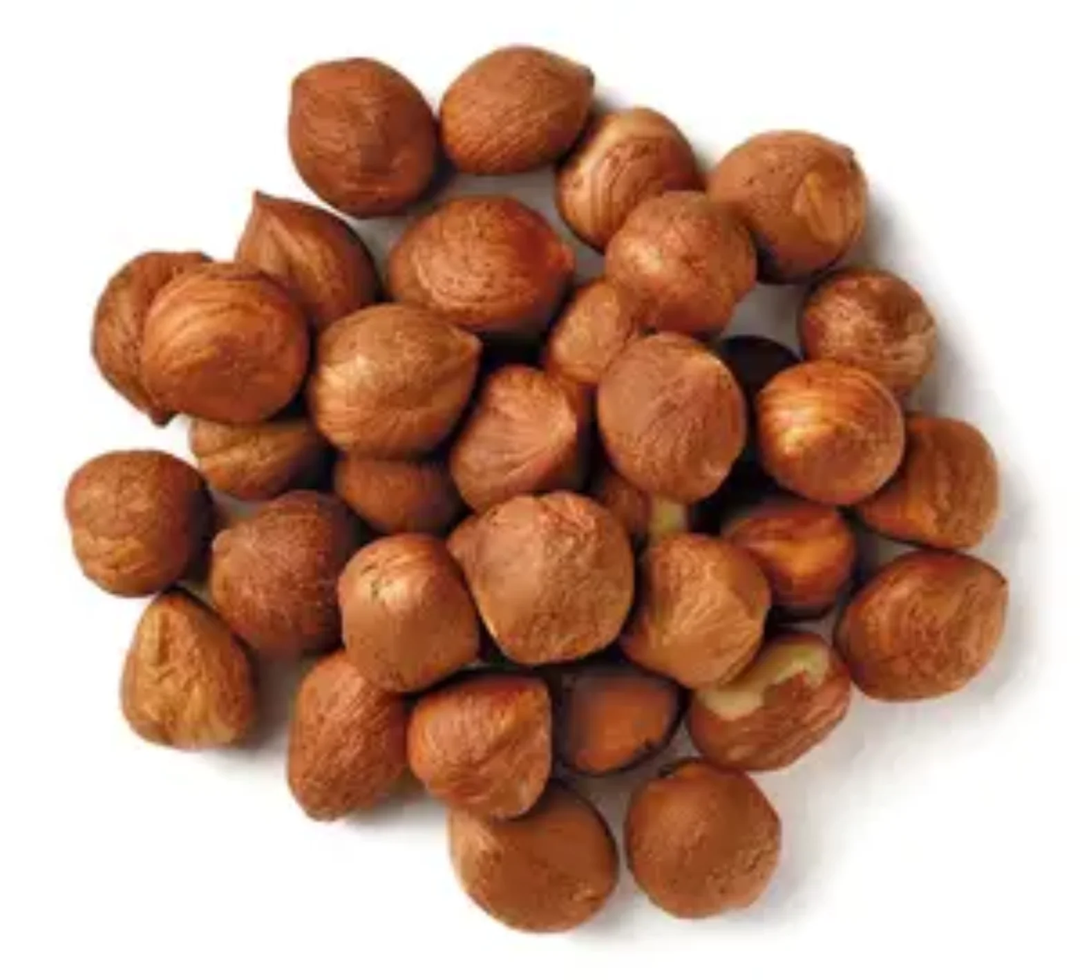 Suppliers Roasted Hazelnut  Dry Hazelnuts for Sale OEM Shell Box Style Packaging FOOD Organic Color