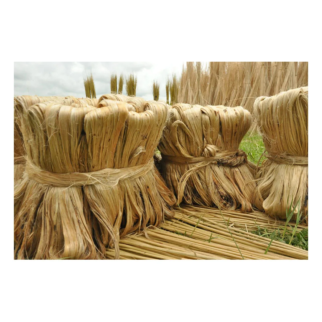 Golden Fiber Raw Tossa Jute Nature Color 100% Pure Cheapest Natural Fiber Wholesale Exportable Tossa Raw Jute From Bangladesh