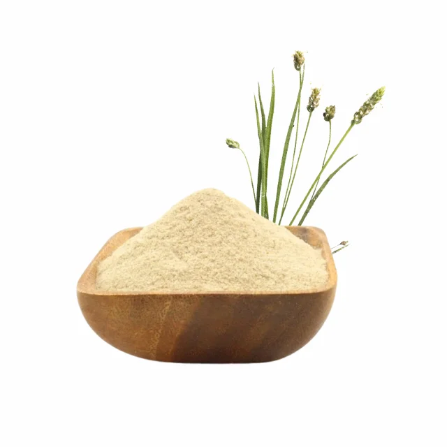Psyllium Husk Powder | High Quality A Grade Good Quality Seeds Extract Pure Psyllium Husk Powder direct from Manufacture