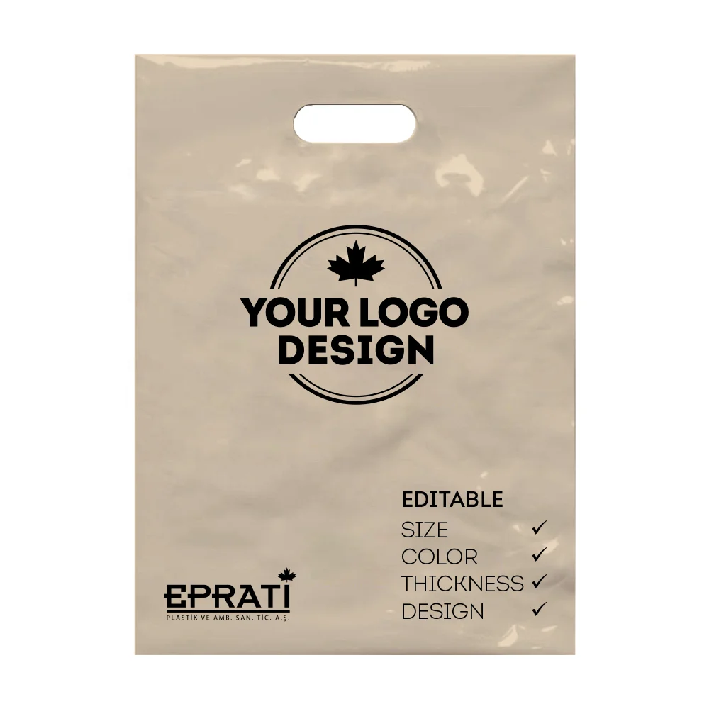 Eco-Friendly High Quality Wholesale Reinforced Die Cut Plastic Bag With Handle For Business from Turkey
