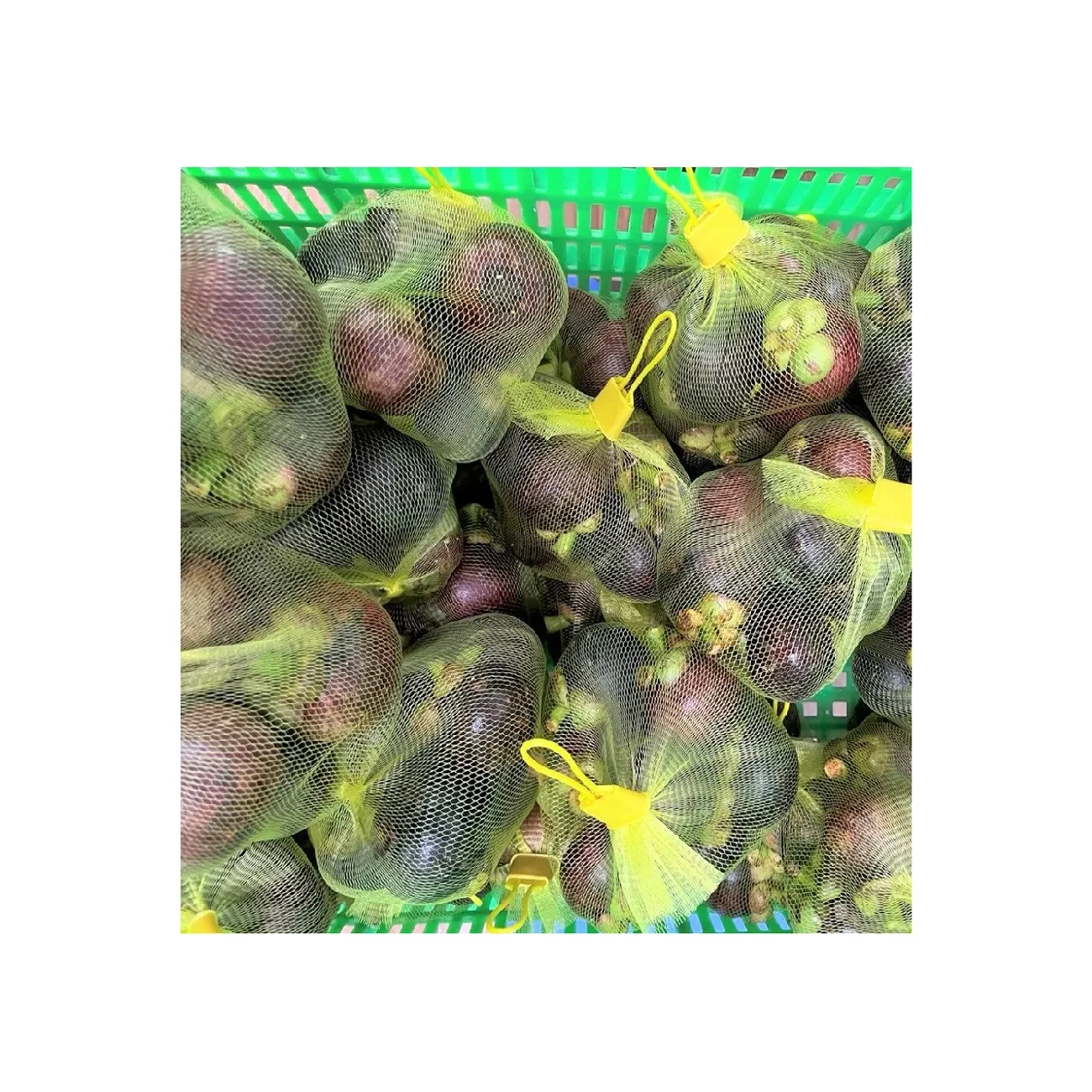 Vietnam Wholesale Frozen Preserved Fruits Bulk Packaging Long Preservation Period Frozen Mangosteen For Exporting