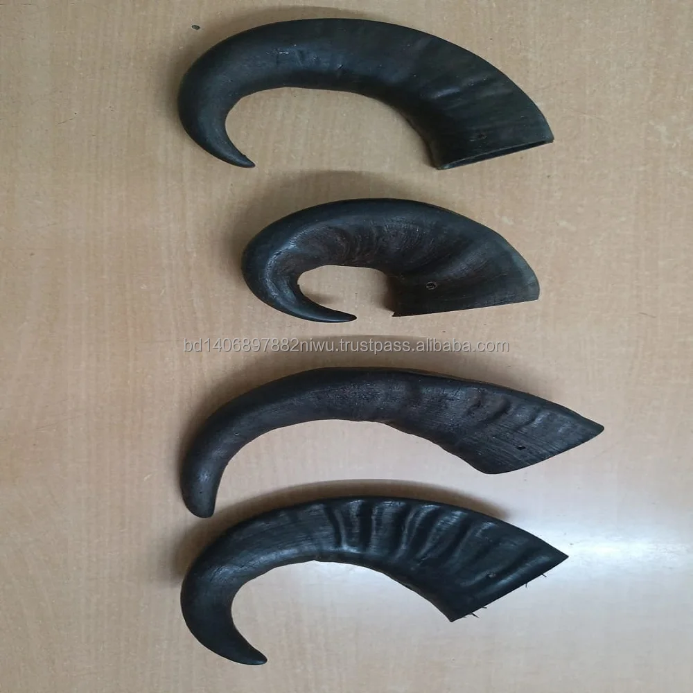 natural Buffalo raw Horn And Horn Tip/ and Quantity Black And natural Color for customized size and horn