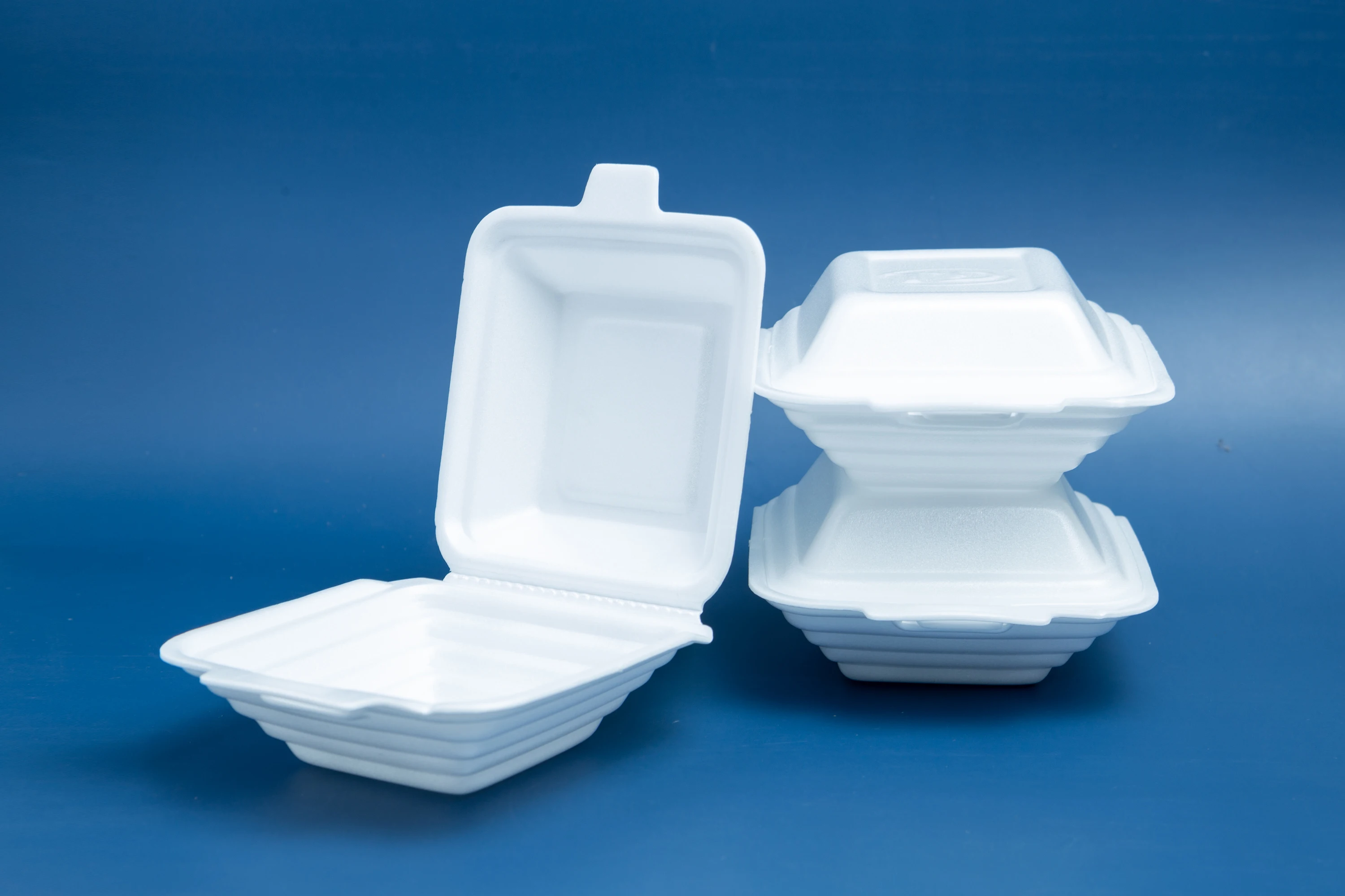 Low Price Ready to Ship Disposable PS Foam Food Container Take Away Lunch Box White Color Exported Form Vietnam