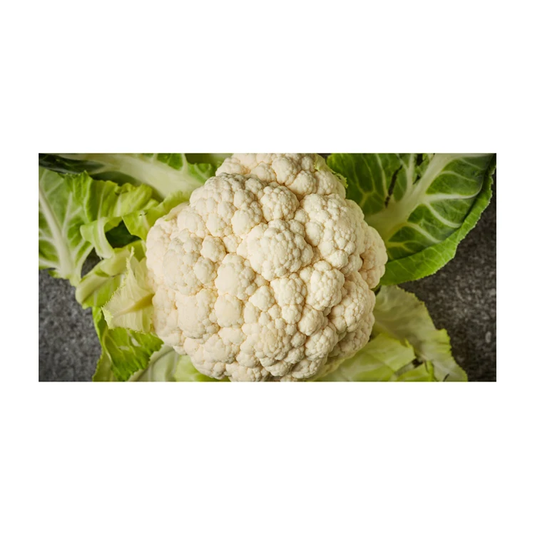 Premium Quality Fresh Vegetables Cauliflower Bulk Stock At Wholesale Cheap Price