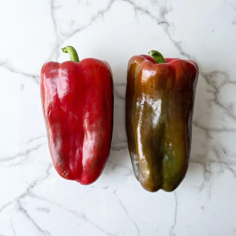 Fresh / Frozen Spicy Chili (pepper) - Red Hot Chili Pepper available for sale