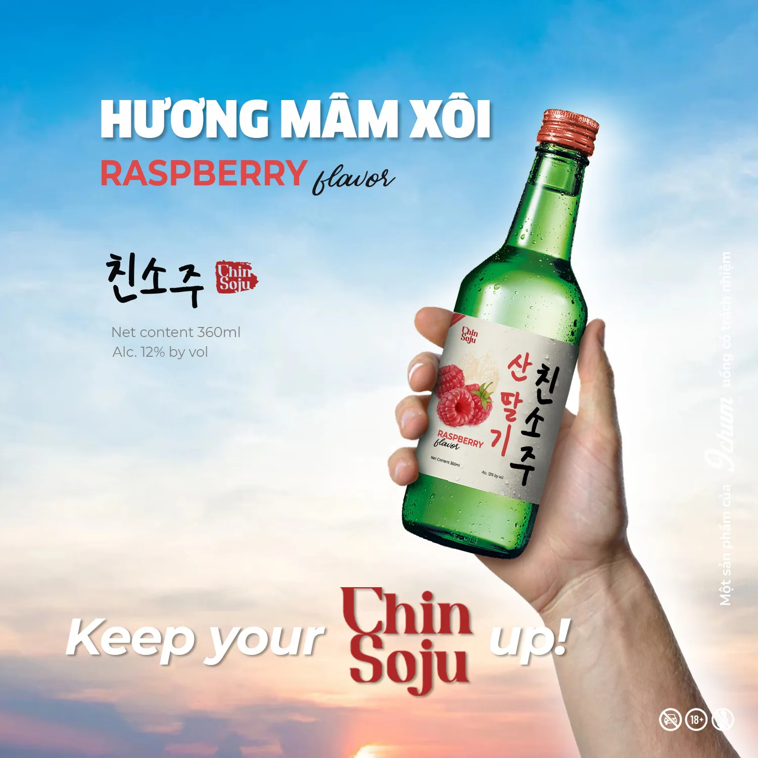 Various fruit Flavour 360ml Brand Chin Soju Shochu with high quality, great taste, low import Tax, OEM service available