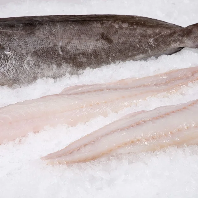 Cheap Frozen Seafood Fish, Hake Fish