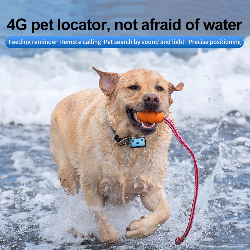 Dog activity monitoring anti-lost electric detection tracer smart real time mini cat 4g gps tracking locator pet tracker