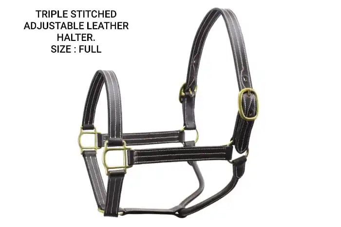 Customized Adjustable Premium Quality DD Leather horse halter with thick soft padding Anatomic Design or as per requirements