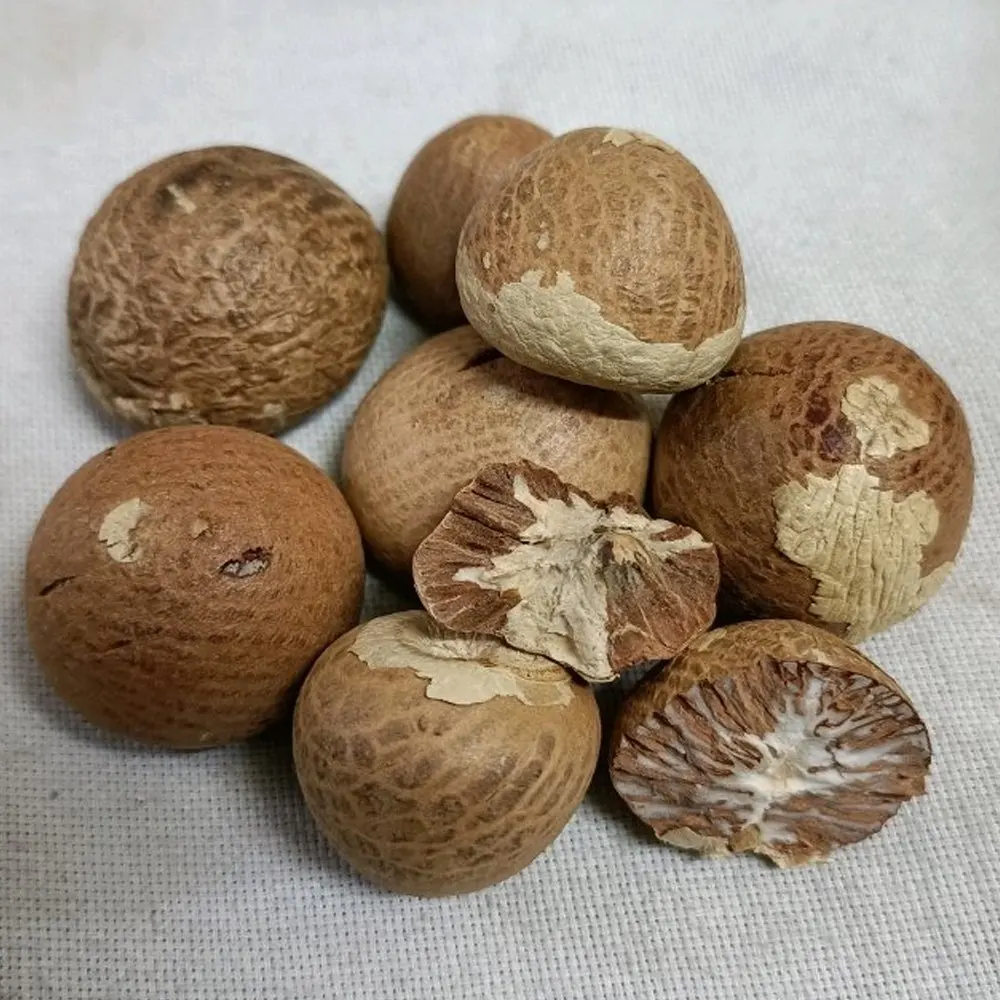 Dried Raw Best Quality Whole Betel Nuts Best Selling Export Quality
