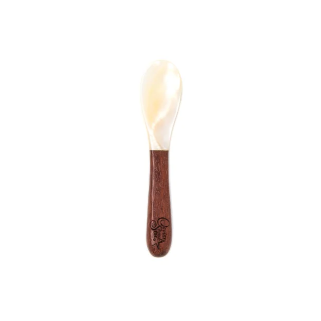 Conch Seashell Spoon Caviar for Export