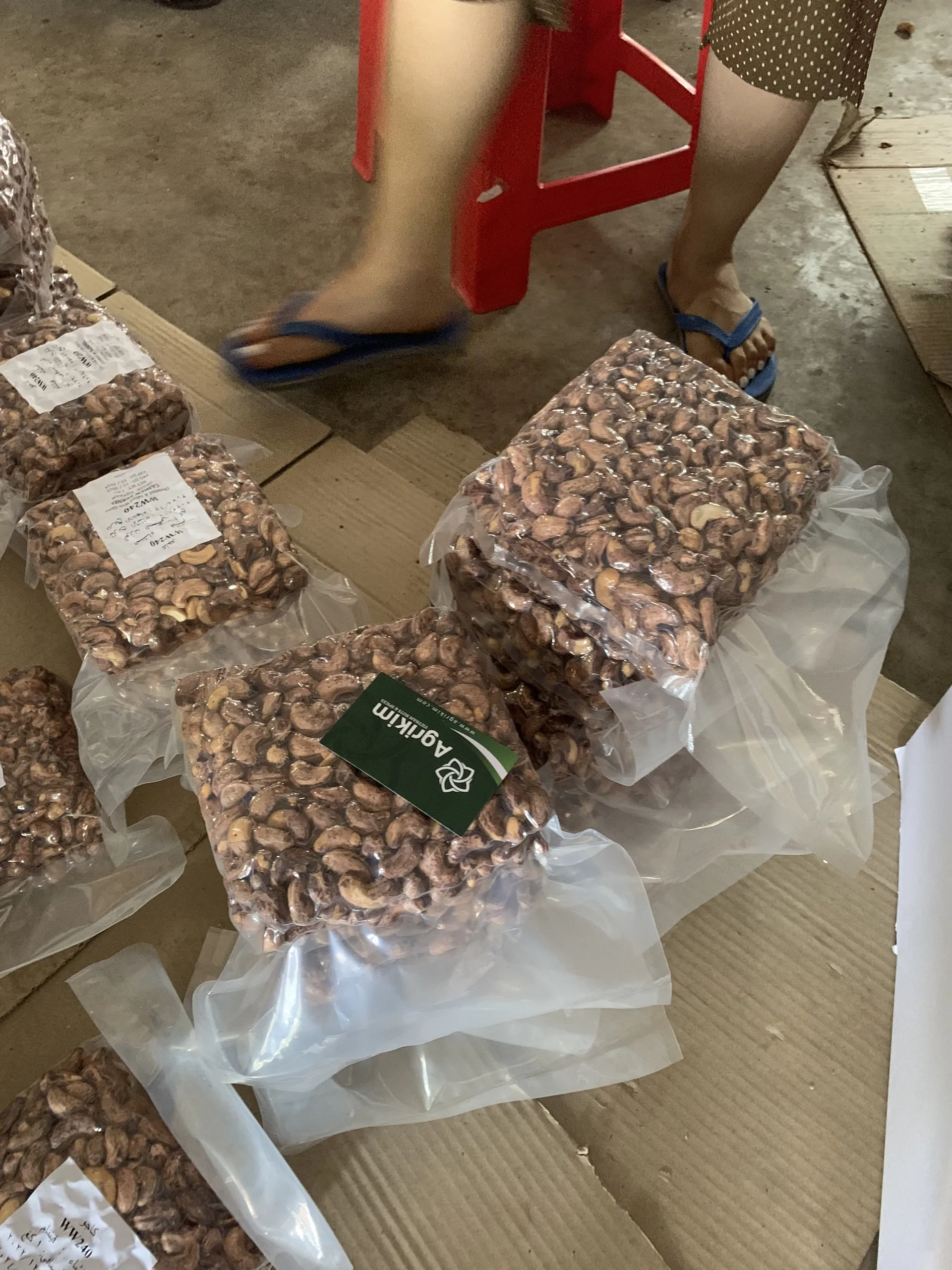 [Бесплатный образец] жареные и соляные орехи кешью с кожухом по лучшей цене + 84 363 565 928